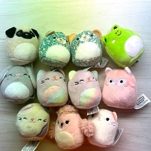 Squishville Squishmallow 11 Toys Brand New Smoke And Pet Free House